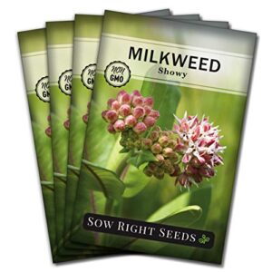 sow right seeds showy milkweed seeds; attract monarch and other butterflies to your garden; non-gmo heirloom seeds; full instructions for planting, wonderful gardening gift (4)