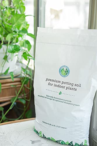 Indoor Plant Soil