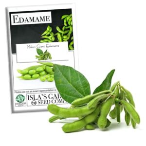 midori giant edamame seeds for planting, 25+ heirloom seeds per packet, (isla’s garden seeds), non gmo seeds, botanical name: glycine max, great home garden gift