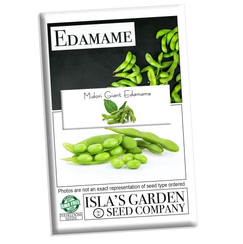 Midori Giant Edamame Seeds for Planting, 25+ Heirloom Seeds Per Packet, (Isla's Garden Seeds), Non GMO Seeds, Botanical Name: Glycine max, Great Home Garden Gift