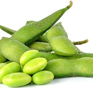 Midori Giant Edamame Seeds for Planting, 25+ Heirloom Seeds Per Packet, (Isla's Garden Seeds), Non GMO Seeds, Botanical Name: Glycine max, Great Home Garden Gift