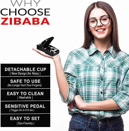 Zibaba Mouse Trap, 6 Pack (3 Large, 3 Small) Mice Trap with Gloves and Brush, Reusable and Easy to Use Mouse Traps for Indoor, Outdoor, Kitchen, Garage and Garden