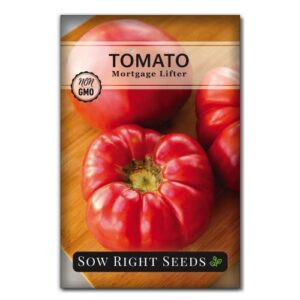 sow right seeds – mortgage lifter tomato seeds for planting – meaty 1 to 2 lb flavorful fruits – non-gmo heirloom – instructions to plant a home vegetable garden – giant beefsteak-type – great gift