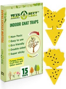 15 pcs gnat traps for house indoor, fungus gnat sticky traps for plants, sticky traps for gnats – plant sticky traps for bugs, sticky fly traps for plants trap fungus gnat, fruit fly and other insects