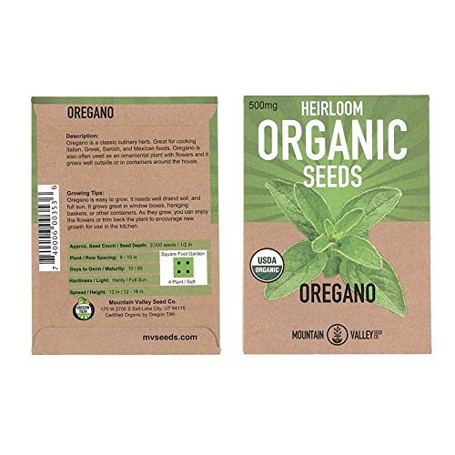 Oregano Herb Garden Seeds - Common Italian - 500 mg Packet - Non-GMO, Certified Organic Oregano Herbal Spice Gardeing Seed