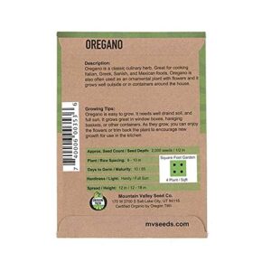 Oregano Herb Garden Seeds - Common Italian - 500 mg Packet - Non-GMO, Certified Organic Oregano Herbal Spice Gardeing Seed