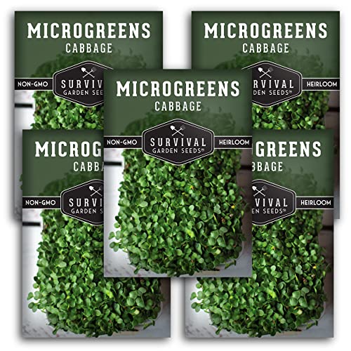 Survival Garden Seeds Cabbage Microgreens for Sprouting and Growing - 5 Packs - Sprout Green Leafy Micro Vegetable Plants Indoors - Grow A Mini Windowsill Garden - Non-GMO Heirloom Variety