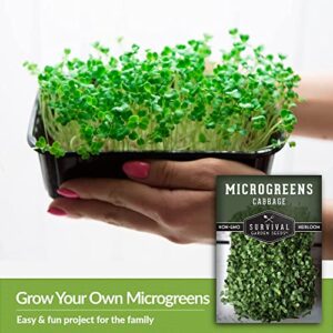 Survival Garden Seeds Cabbage Microgreens for Sprouting and Growing - 5 Packs - Sprout Green Leafy Micro Vegetable Plants Indoors - Grow A Mini Windowsill Garden - Non-GMO Heirloom Variety