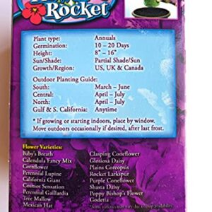 Garden Innovations Summer Bouquet Flower Rocket As Seen On TV Concentrated Seed Disc