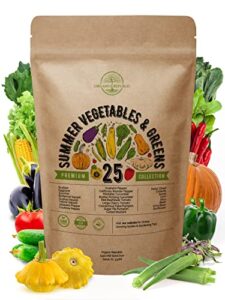 25 summer vegetable garden seeds variety pack for planting outdoors and indoor home gardening 2500+ non-gmo heirloom veggie & salad green seeds: collards tomato pepper okra onion bean cucumber & more