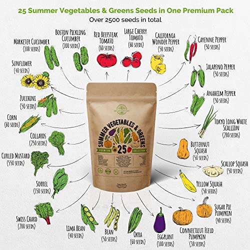 25 Summer Vegetable Garden Seeds Variety Pack for Planting Outdoors and Indoor Home Gardening 2500+ Non-GMO Heirloom Veggie & Salad Green Seeds: Collards Tomato Pepper Okra Onion Bean Cucumber & More