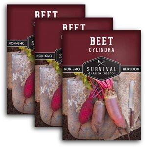survival garden seeds – cylindra beet seed for planting – 3 packs with instructions to plant and grow dark red beets in your home vegetable garden – non-gmo heirloom variety