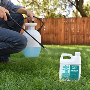 Liquid Surfactant, Non-Ionic - Accelerate Performance & Effectiveness of Foliar Fertilizer and Other Lawn & Garden Solutions - Better Wetting, Sticking & Absorption - 32 Ounce - Simple Grow Solutions