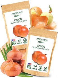 yellow sweet spanish onion seeds for planting indoors and outdoors – 1600+ non gmo seeds per packet – 100% usa grown – heirloom seeds for home vegetable garden