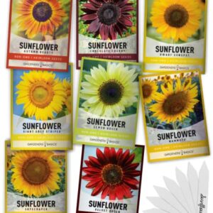 Sunflower Seeds for Planting Flowers (8 Pack) - Velvet Queen, Skyscraper, Lemon Queen, Giant , Autumn Beauty, Chocolate Cherry, Dwarf Sunspot and Mammoth Bulk Outdoor Flower Garden by Gardners Basics
