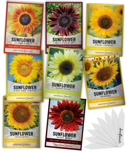 Sunflower Seeds for Planting Flowers (8 Pack) - Velvet Queen, Skyscraper, Lemon Queen, Giant , Autumn Beauty, Chocolate Cherry, Dwarf Sunspot and Mammoth Bulk Outdoor Flower Garden by Gardners Basics