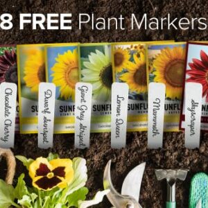 Sunflower Seeds for Planting Flowers (8 Pack) - Velvet Queen, Skyscraper, Lemon Queen, Giant , Autumn Beauty, Chocolate Cherry, Dwarf Sunspot and Mammoth Bulk Outdoor Flower Garden by Gardners Basics