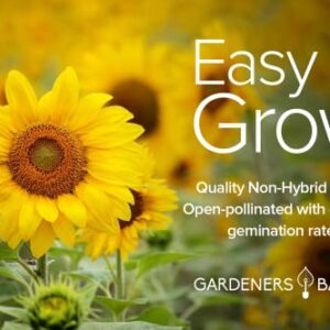 Sunflower Seeds for Planting Flowers (8 Pack) - Velvet Queen, Skyscraper, Lemon Queen, Giant , Autumn Beauty, Chocolate Cherry, Dwarf Sunspot and Mammoth Bulk Outdoor Flower Garden by Gardners Basics