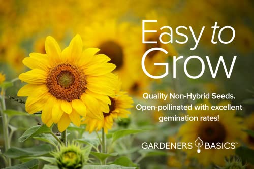 Sunflower Seeds for Planting Flowers (8 Pack) - Velvet Queen, Skyscraper, Lemon Queen, Giant , Autumn Beauty, Chocolate Cherry, Dwarf Sunspot and Mammoth Bulk Outdoor Flower Garden by Gardners Basics