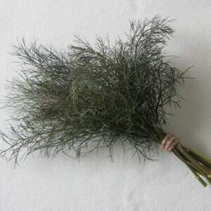 david’s garden seeds herb fennel bronze 3123 (bronze) 200 non-gmo, heirloom seeds