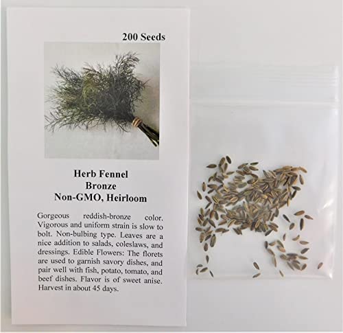 David's Garden Seeds Herb Fennel Bronze 3123 (Bronze) 200 Non-GMO, Heirloom Seeds