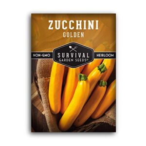 survival garden seeds – golden zucchini seeds for planting – packet with instructions to plant and grow yellow zucchini vegetables in your home vegetable garden – non-gmo heirloom variety