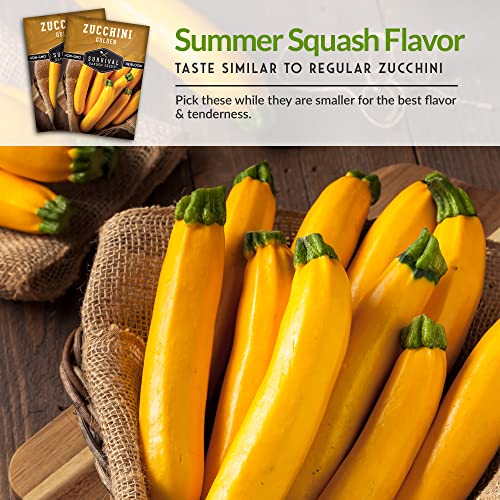 Survival Garden Seeds - Golden Zucchini Seeds for Planting - Packet with Instructions to Plant and Grow Yellow Zucchini Vegetables in Your Home Vegetable Garden - Non-GMO Heirloom Variety