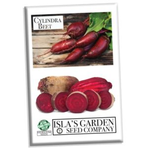 cylindra beet seeds for planting, 100+ heirloom seeds per packet, (isla’s garden seeds), non gmo seeds, botanical name: beta vulgaris ‘cylindra’, great home garden gift