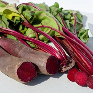 Cylindra Beet Seeds for Planting, 100+ Heirloom Seeds Per Packet, (Isla's Garden Seeds), Non GMO Seeds, Botanical Name: Beta vulgaris 'Cylindra', Great Home Garden Gift