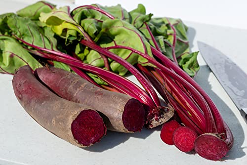 Cylindra Beet Seeds for Planting, 100+ Heirloom Seeds Per Packet, (Isla's Garden Seeds), Non GMO Seeds, Botanical Name: Beta vulgaris 'Cylindra', Great Home Garden Gift