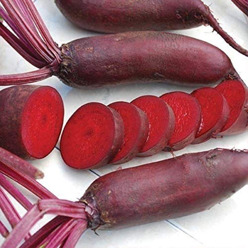 Cylindra Beet Seeds for Planting, 100+ Heirloom Seeds Per Packet, (Isla's Garden Seeds), Non GMO Seeds, Botanical Name: Beta vulgaris 'Cylindra', Great Home Garden Gift