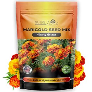 NatureZ Edge Marigold Seeds Mix, Over 5600 Seeds, Marigold Seeds for Planting Outdoors, Dainty Marietta, Petite French, Sparky French, and More