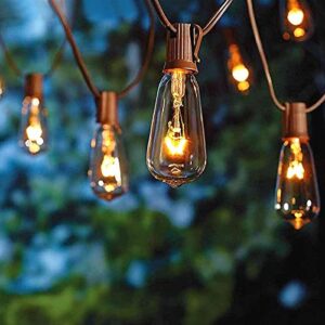 abeja outdoor string lights 20ft with 20 vintage bulbs(2 spare) st40 string lights, waterproof ul listed for patio garden backyard party decor, 7w, e12 socket base, brown
