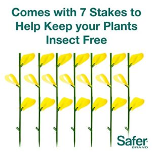 Safer Brand 5026 Houseplant Sticky Stake Insect Traps for Indoor Plants - Controls Fungus Gnats, Whiteflies, Midges, Thrips, Fruit Flies, and Black Flies - 12 Pack, 84 Traps