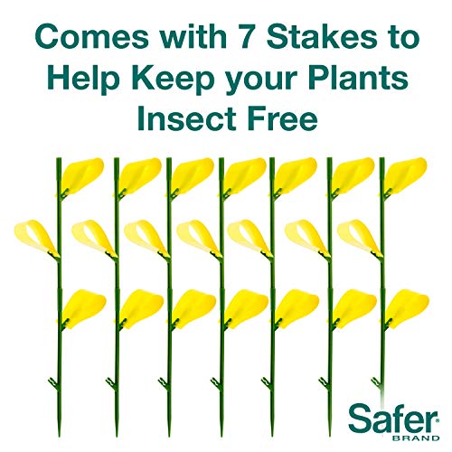 Safer Brand 5026 Houseplant Sticky Stake Insect Traps for Indoor Plants - Controls Fungus Gnats, Whiteflies, Midges, Thrips, Fruit Flies, and Black Flies - 12 Pack, 84 Traps