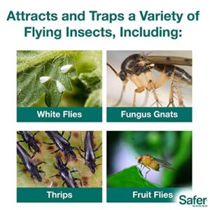 Safer Brand 5026 Houseplant Sticky Stake Insect Traps for Indoor Plants - Controls Fungus Gnats, Whiteflies, Midges, Thrips, Fruit Flies, and Black Flies - 12 Pack, 84 Traps