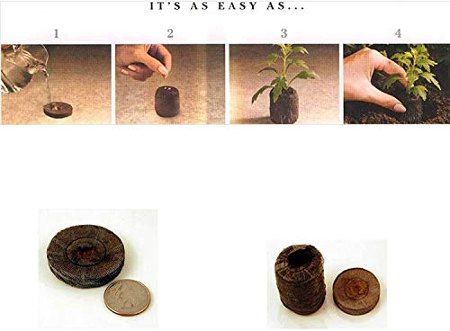 200 Count- Jiffy 7 Peat Soil 36mm ~ Standard ~ Pellets Seeds Starting Plugs: Indoor Seed Starter- Start Planting Indoors for Transplanting to Garden or Planter Pot