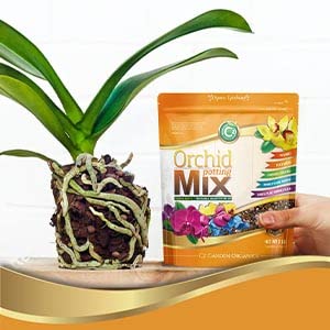 Organic Orchid Potting Mix - Made in USA - Premium Grade Recipe for Proper Root Development - Phalaenopsis, Cattleyas, Dendrobiums, Oncidiums and More! Fir Bark, Charcoal, Coconut Husk, Clay Pebbles