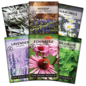 Sow Right Seeds - Medicinal Herb Seed Collection for Planting - Roman Chamomile, Echinacea, Lavender, White Sage, Marjoram & Hyssop - Non-GMO Heirloom Seed - Perfect for a Herb Garden - Gardening Gift