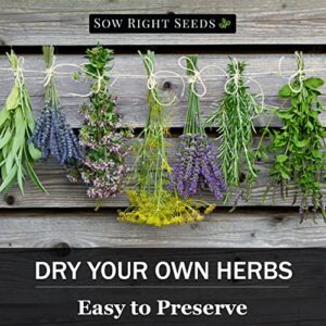 Sow Right Seeds - Medicinal Herb Seed Collection for Planting - Roman Chamomile, Echinacea, Lavender, White Sage, Marjoram & Hyssop - Non-GMO Heirloom Seed - Perfect for a Herb Garden - Gardening Gift