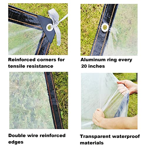 Abrotain Clear Greenhouse Plastic Sheeting Cover Film 3'3"X10' Garden Plant Covers Polyethylene Film Hoop House Green House Cover for Gardening, Farming, Agricultural