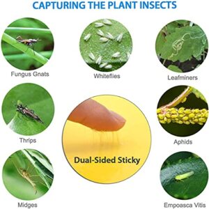 HGSLWFT 5 Count Sticky White Fly Trap (Pack of 5)