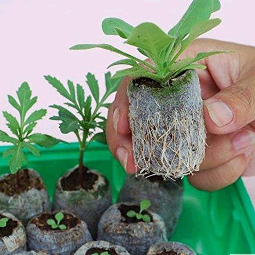 120 Pcs Peat Pellet - 35mm Plant Pallet Seedling Soil Block,Plant Starting Plugs Peat Pellets Bulk for Plant Starter Pellet,Transplanting Growing Garden Flower Vegetables