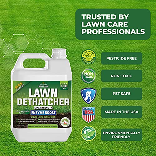 PetraTools Liquid Dethatcher (32oz) and Liquid 16-4-8 Lawn Fertilizer (32 oz)