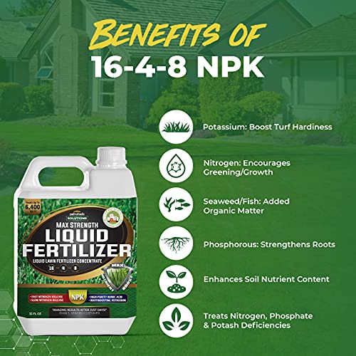 PetraTools Liquid Dethatcher (32oz) and Liquid 16-4-8 Lawn Fertilizer (32 oz)