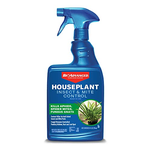 BioAdvanced Houseplant Insect & Mite Control, Ready-to-Use, 24 oz & Plant Food Insect Control Spikes, 10 Spikes