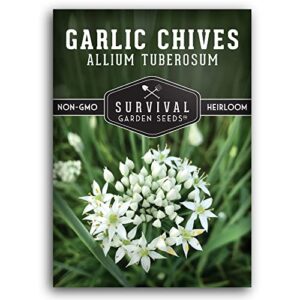 Survival Garden Seeds - Garlic Chives Seed for Planting - Packet with Instructions to Plant and Grow Delicious Perennial Herbs in Your Home Vegetable Garden - Non-GMO Heirloom Variety