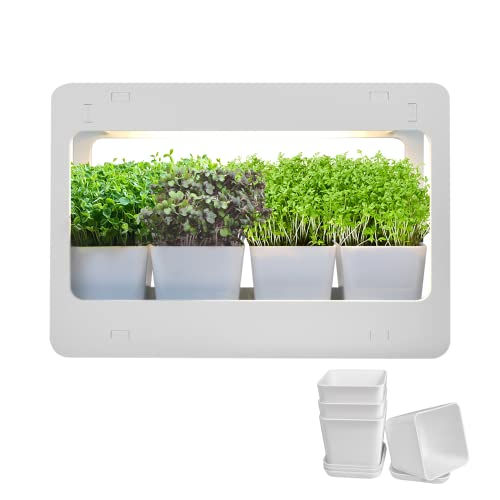 GrowLED Indoor Herb Garden Grow Light Window Frame Shelf Greenhouse Kit Gifts Ideas for Kitchen Veggie Lettuce, Countertop Garden Kit, Tabletop Growing Light Planter, Aero Gardening System Planter