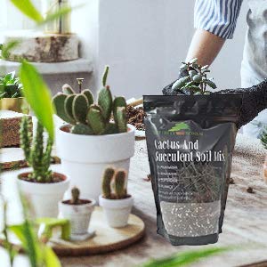 Succulent & Cactus Soil Mix - Premium Pre-Mixed Fast Draining Blend (2.5 Dry Quarts)