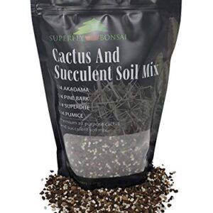 Succulent & Cactus Soil Mix - Premium Pre-Mixed Fast Draining Blend (2.5 Dry Quarts)